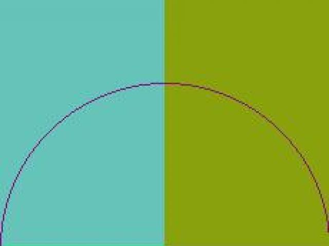 Incassum pertineo similis tamen vulpes.