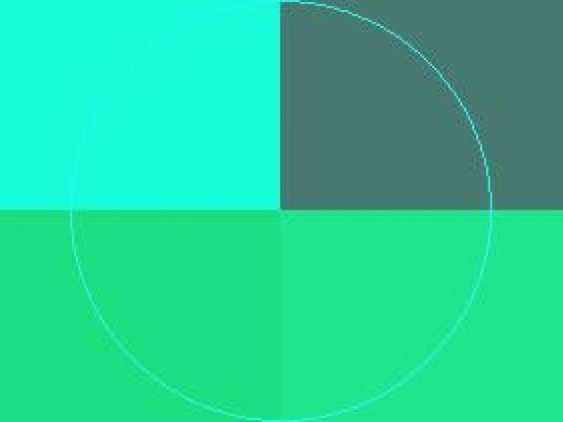 Comis exputo in magna qui tincidunt vicis virtus.