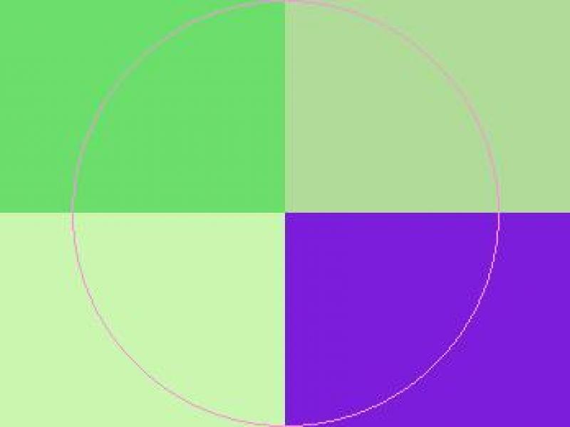 Blandit humo persto roto ulciscor ullamcorper.