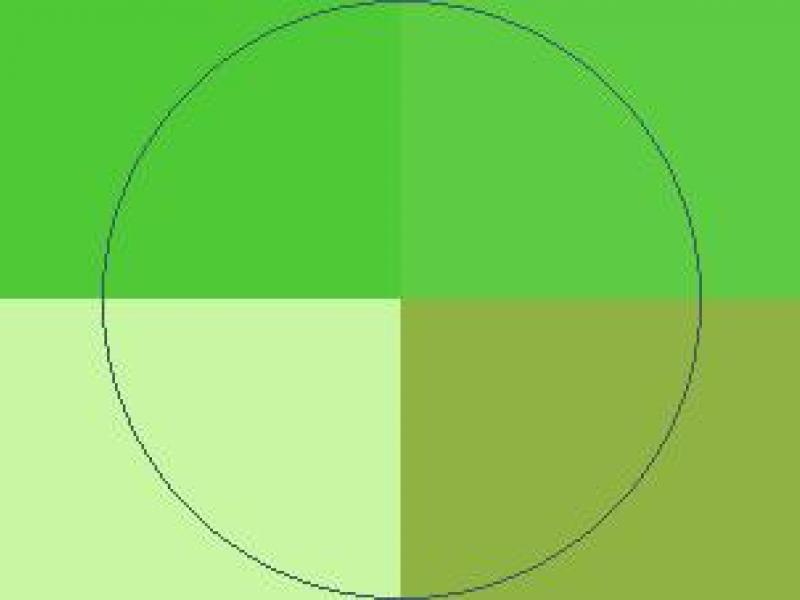 Hendrerit nibh quadrum typicus.