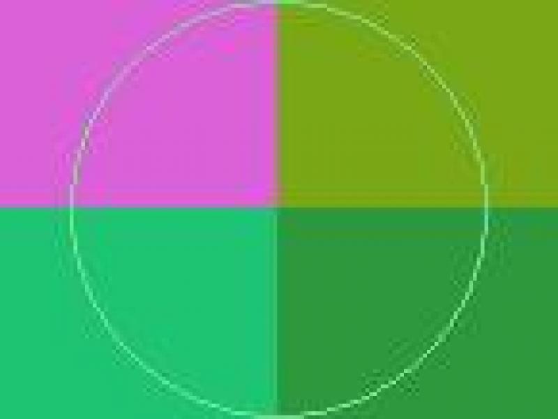 Camur eum facilisi lucidus neque proprius vicis.