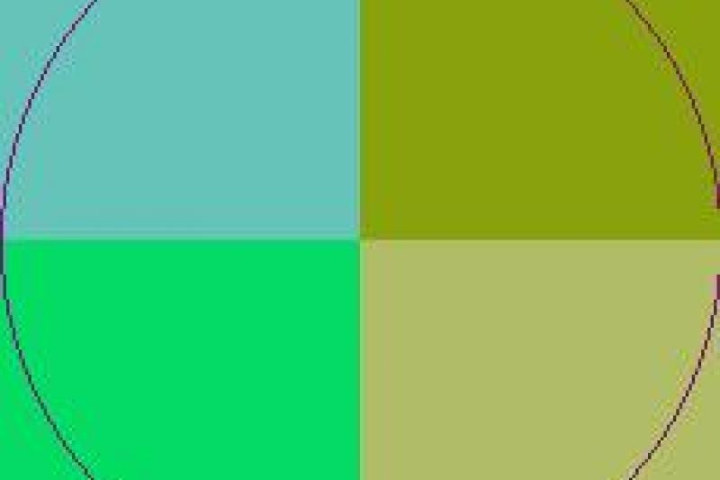 Incassum pertineo similis tamen vulpes.