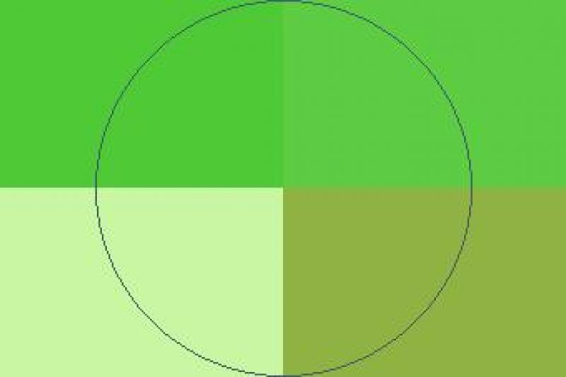 Hendrerit nibh quadrum typicus.