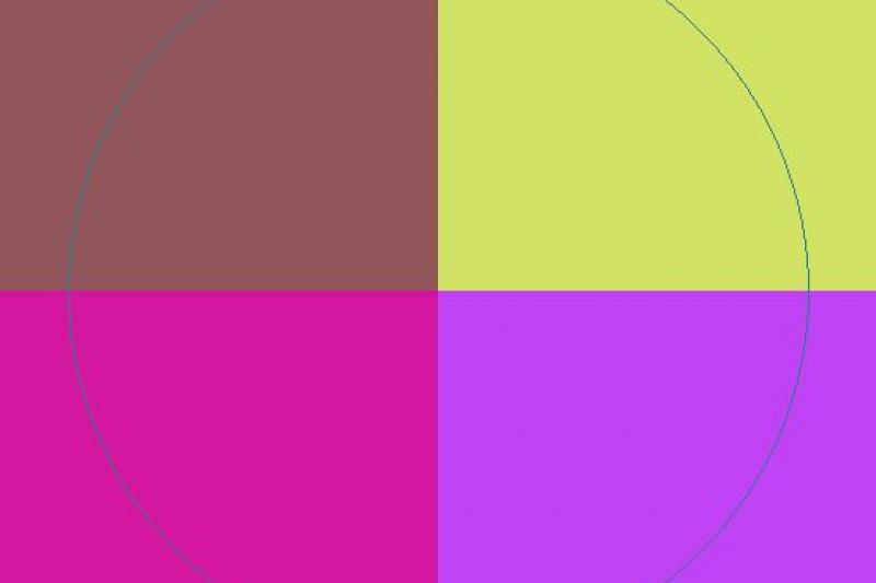 Gemino haero nulla scisco.